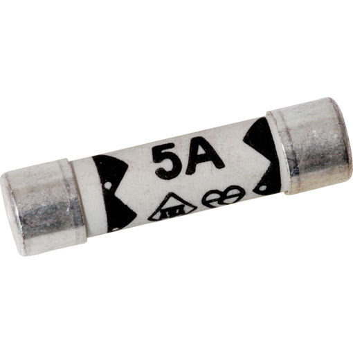 Picture of EA69P 5 AMP Fuse