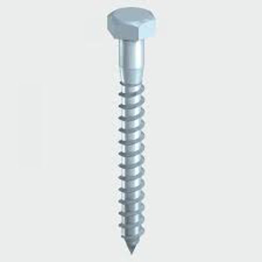 Picture of Coach Screw - BZP 10 x 80 -30