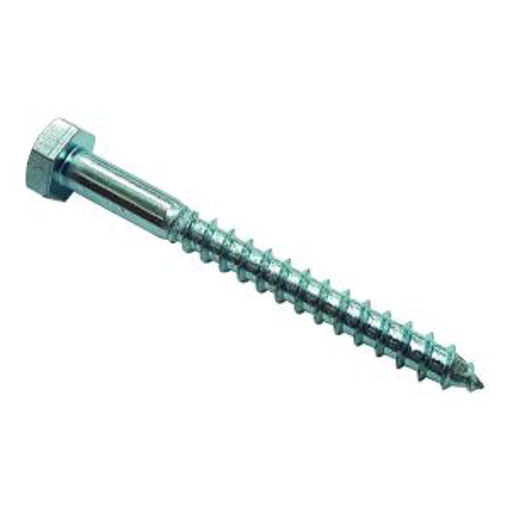 Picture of Coach Screw - BZP 8 x 50 - 5