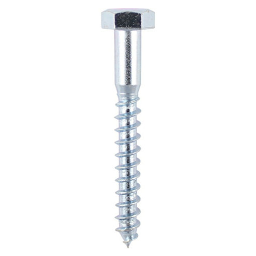 Picture of Coach Screw - BZP 8 x 60 - 65