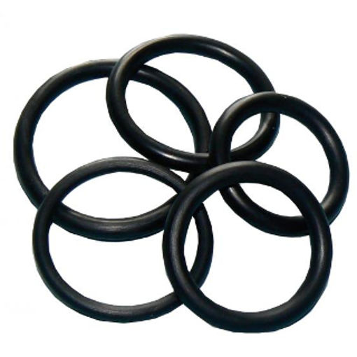 Picture of PF O ring assorted pack B pk 5