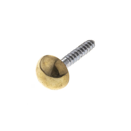 Picture of FA42E 38mm Brass Plated Mirror Screws