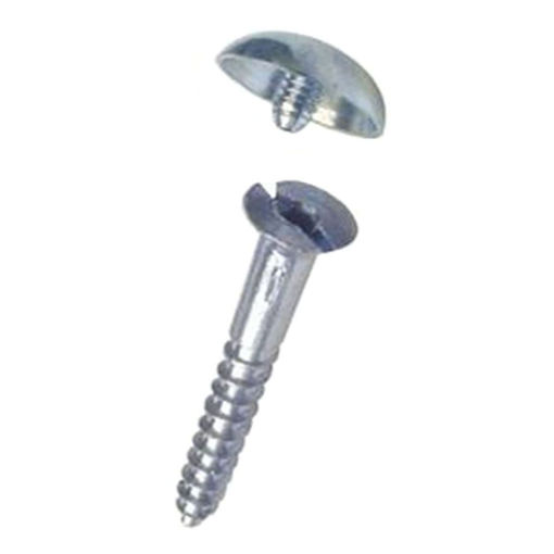 Picture of FA39E 38mm Chrome Mirror Screws