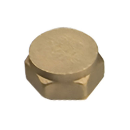 Picture of BF300 Female Brass Cap 0.75"